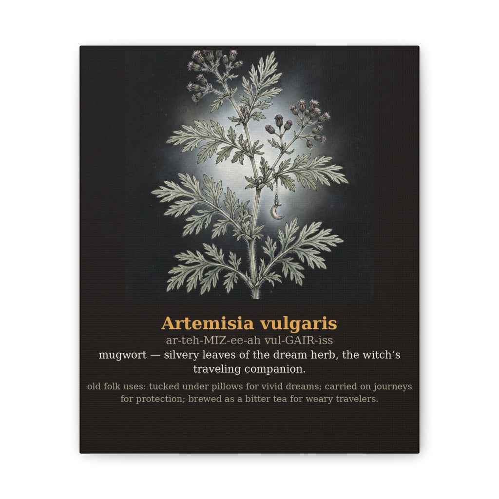 Apothecary of Thorns Canvas - Mugwort No. 7 - product photo 4