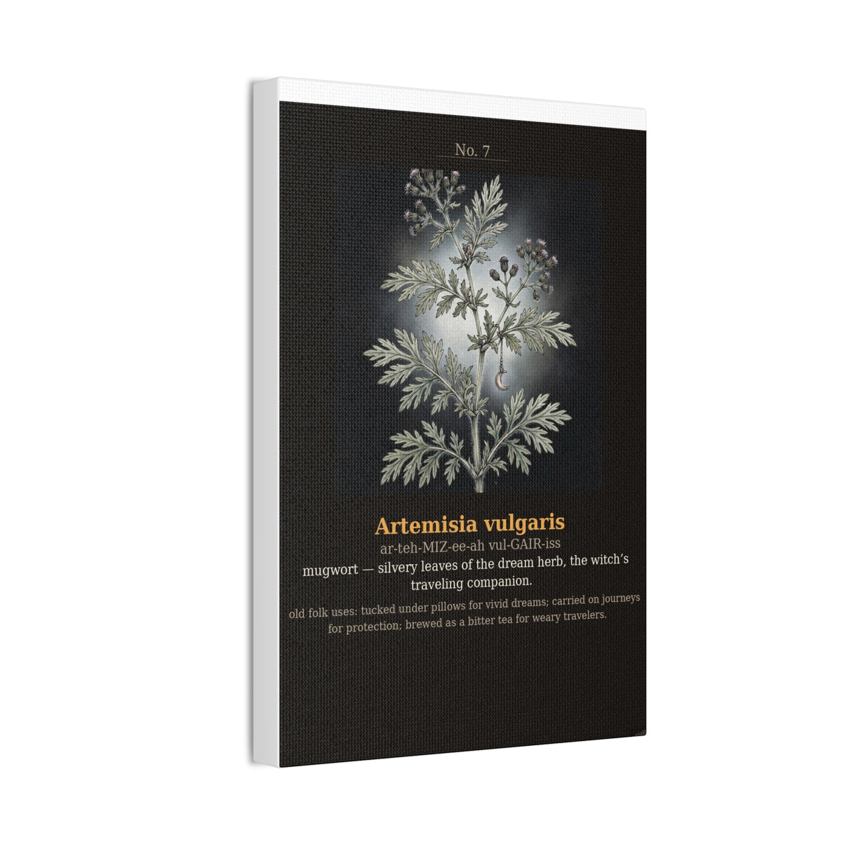 Apothecary of Thorns Canvas - Mugwort No. 7 - product photo 9