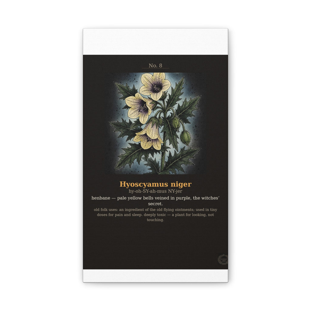 Apothecary of Thorns Canvas - Henbane No. 8 - product photo 3