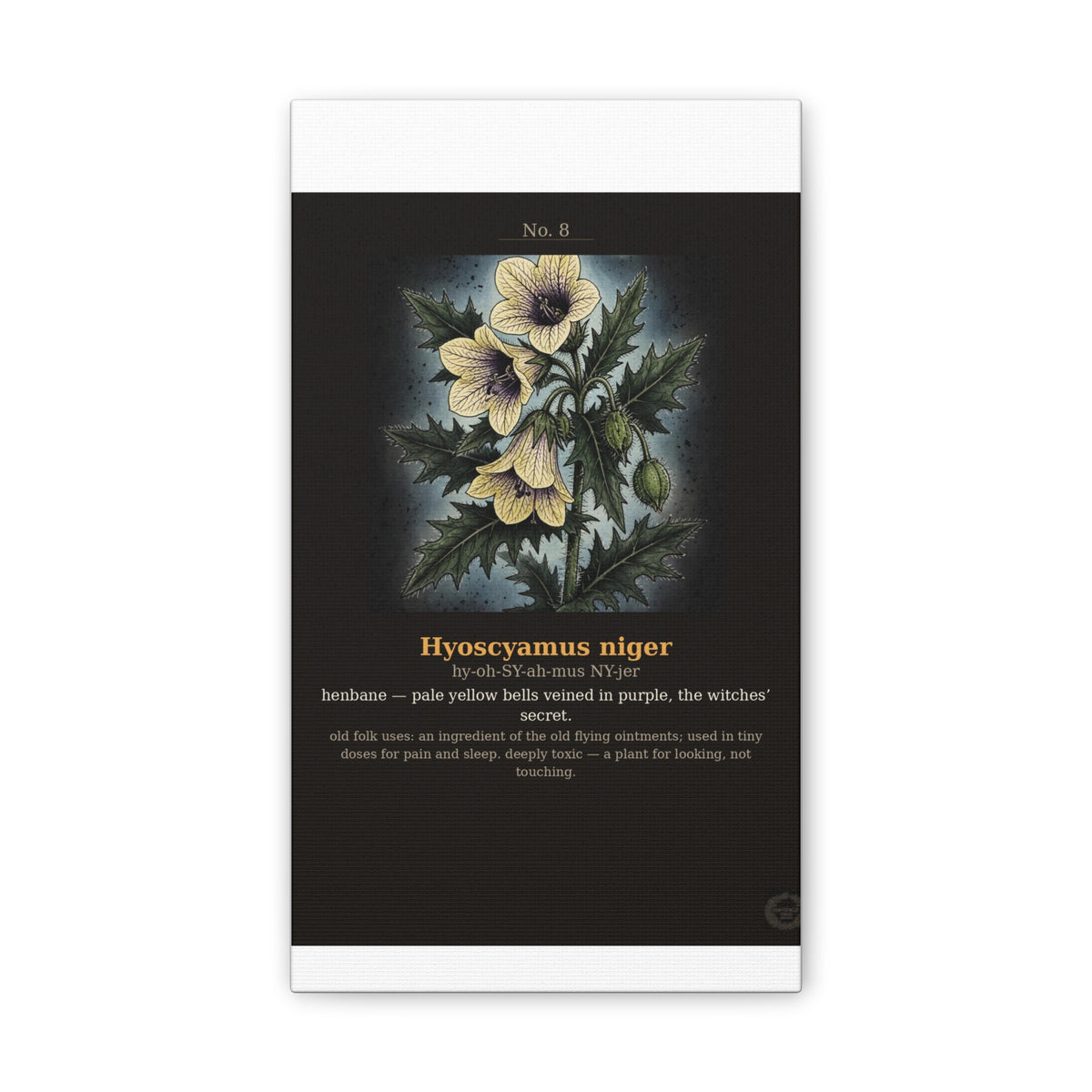 Apothecary of Thorns Canvas - Henbane No. 8 - product photo 3