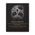 Apothecary of Thorns Canvas - Poppy No. 9 - dark botanical illustration art print on canvas