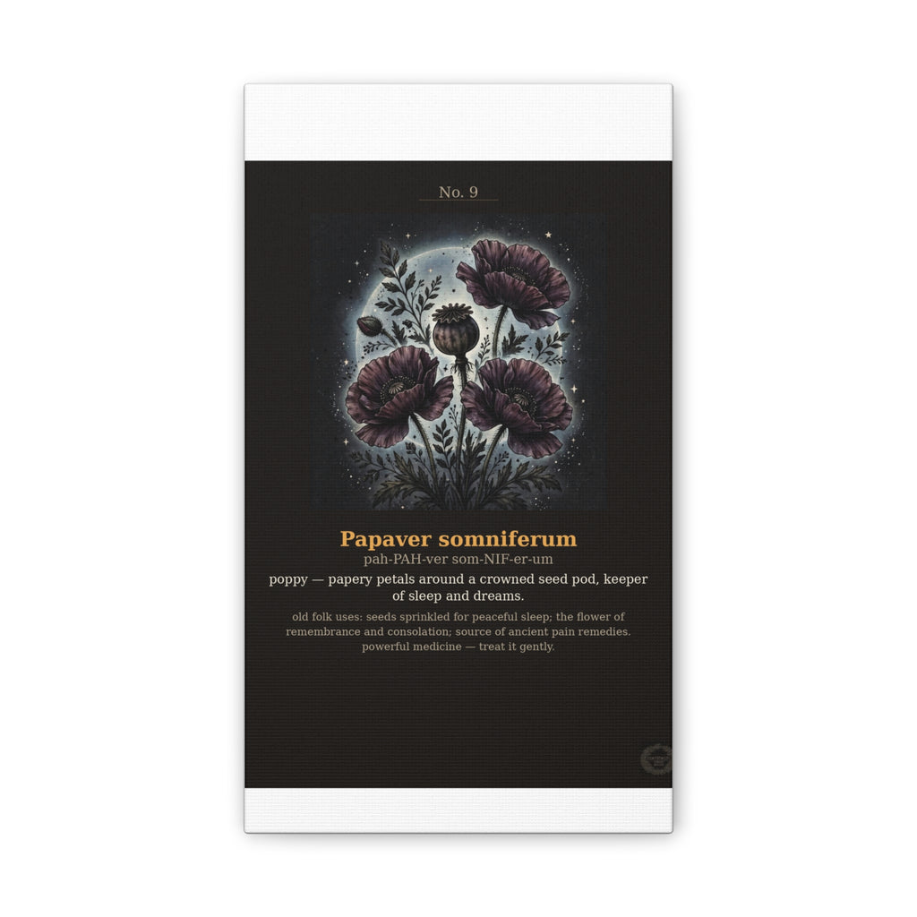Apothecary of Thorns Canvas - Poppy No. 9 - product photo 3