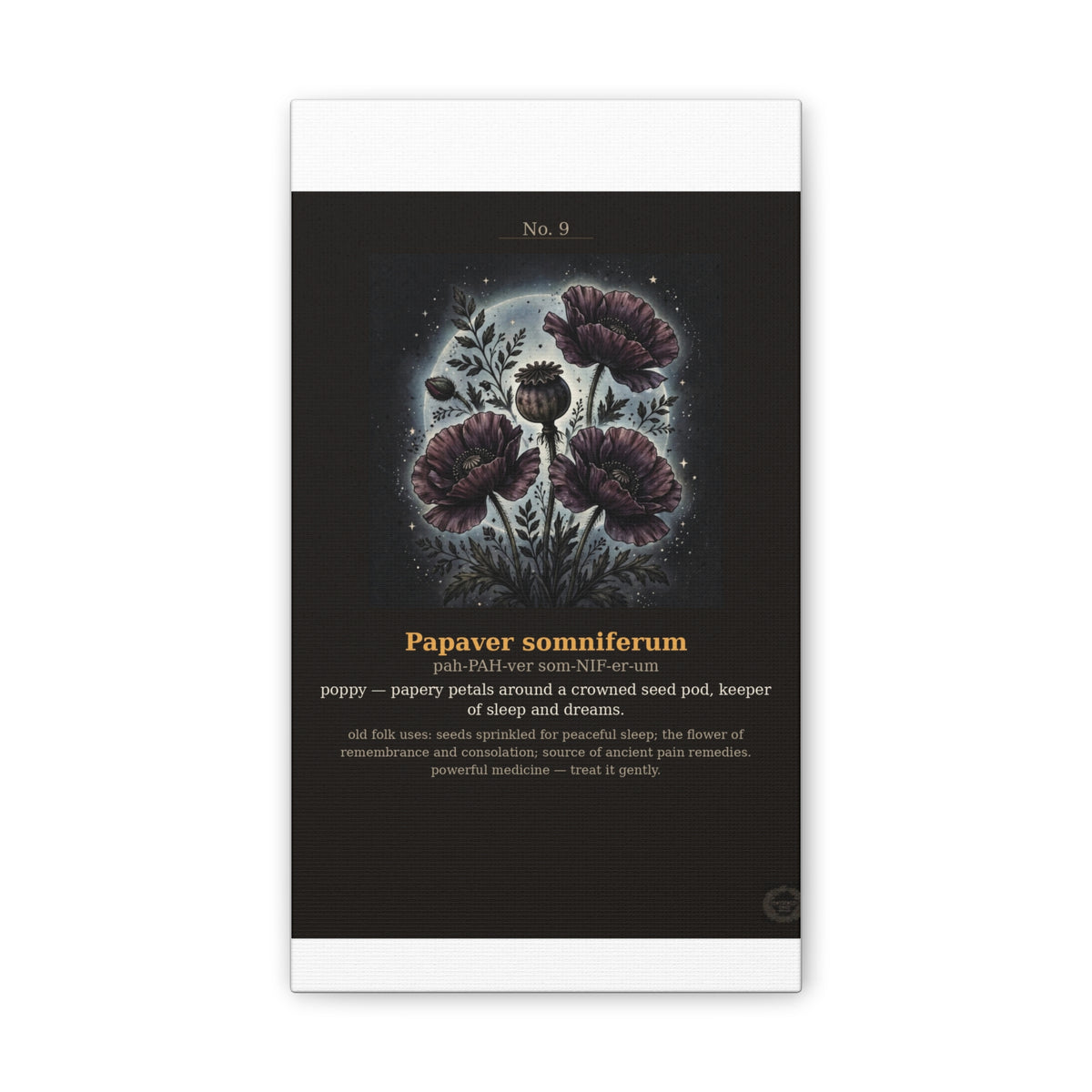 Apothecary of Thorns Canvas - Poppy No. 9 - product photo 3