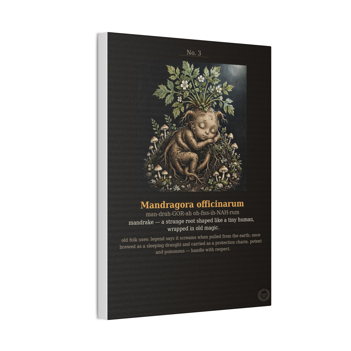 Apothecary of Thorns Canvas - Mandrake No. 3