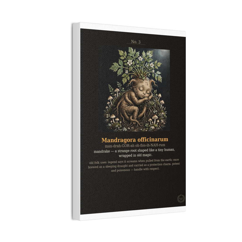 Apothecary of Thorns Canvas - Mandrake No. 3 - product photo 5