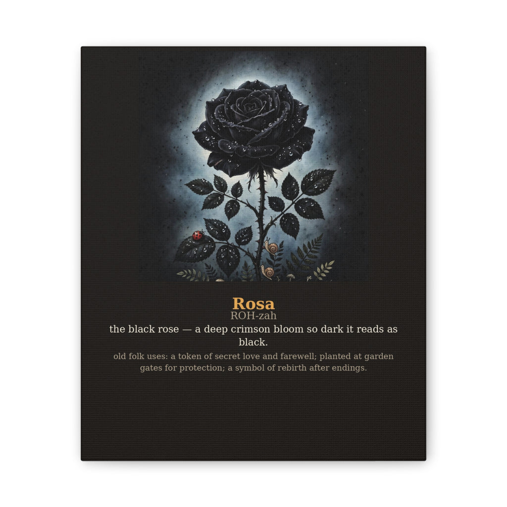 Apothecary of Thorns Canvas - Black Rose No. 1 - product photo 4