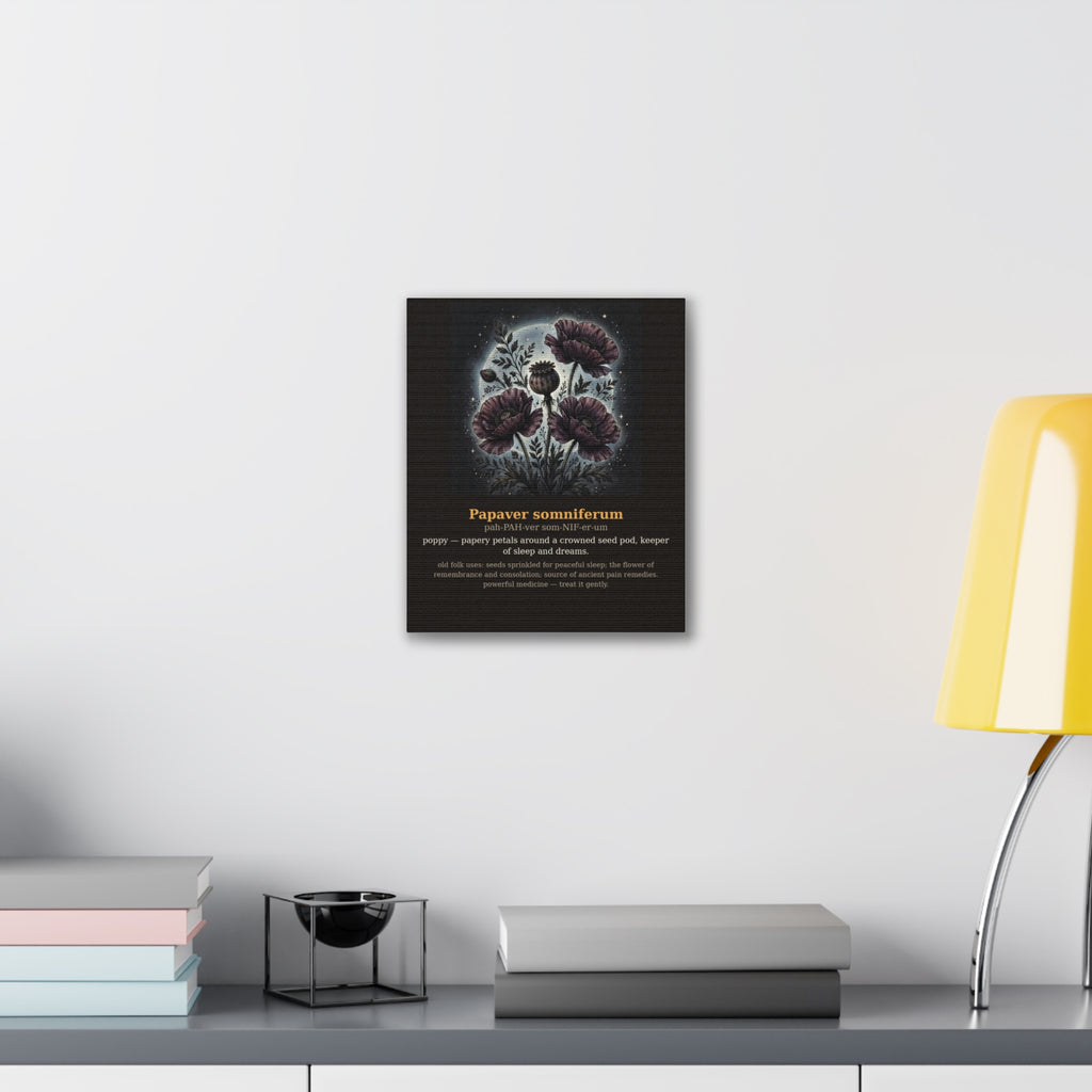 Apothecary of Thorns Canvas - Poppy No. 9