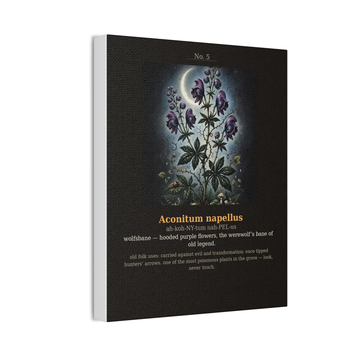 Apothecary of Thorns Canvas - Wolfsbane No. 5 - product photo 6