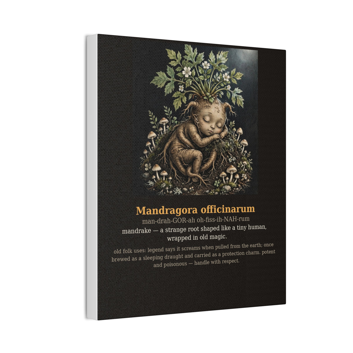 Apothecary of Thorns Canvas - Mandrake No. 3