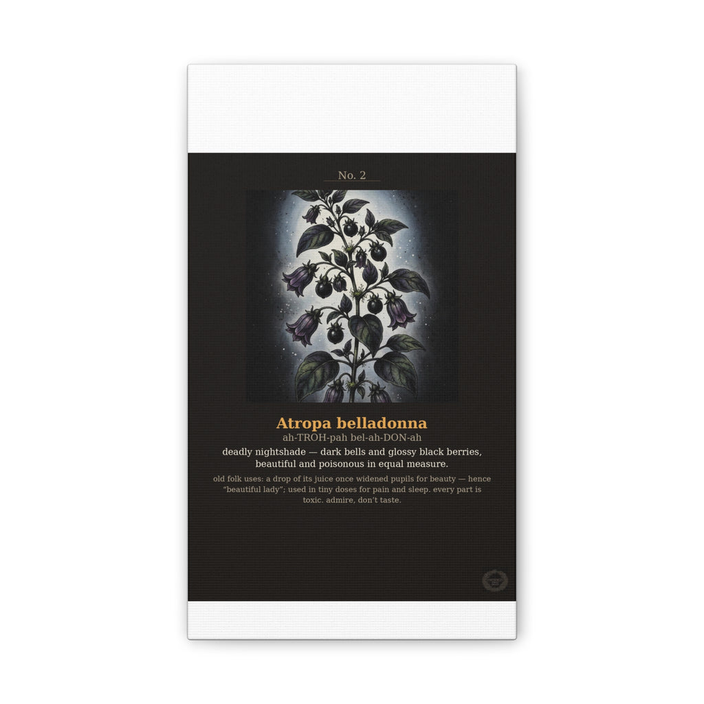 Apothecary of Thorns Canvas - Nightshade No. 2 - product photo 3