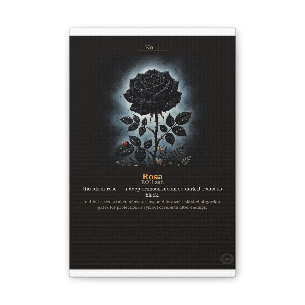 Apothecary of Thorns Canvas - Black Rose No. 1 - product photo 2