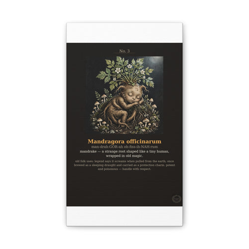 Apothecary of Thorns Canvas - Mandrake No. 3 - product photo 2