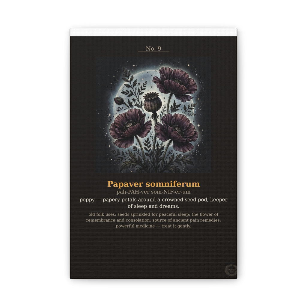 Apothecary of Thorns Canvas - Poppy No. 9 - product photo 2