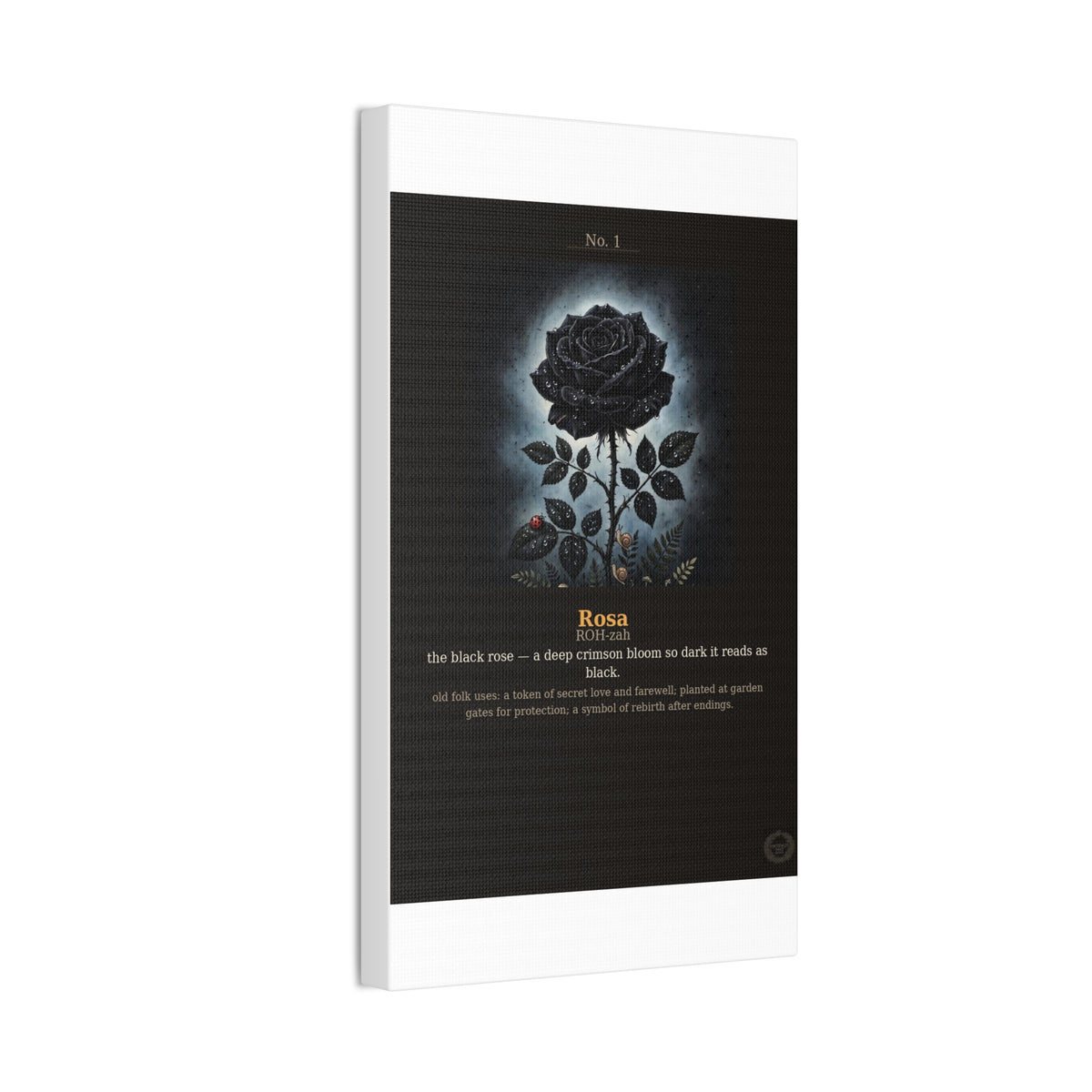 Apothecary of Thorns Canvas - Black Rose No. 1