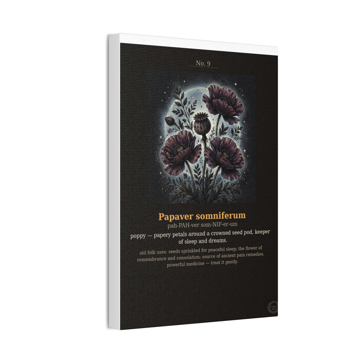 Apothecary of Thorns Canvas - Poppy No. 9 - product photo 9