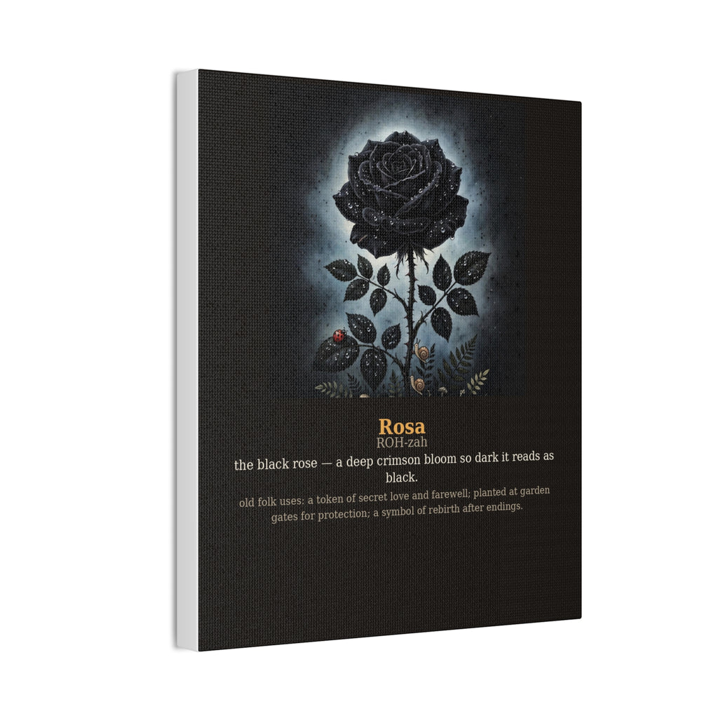 Apothecary of Thorns Canvas - Black Rose No. 1