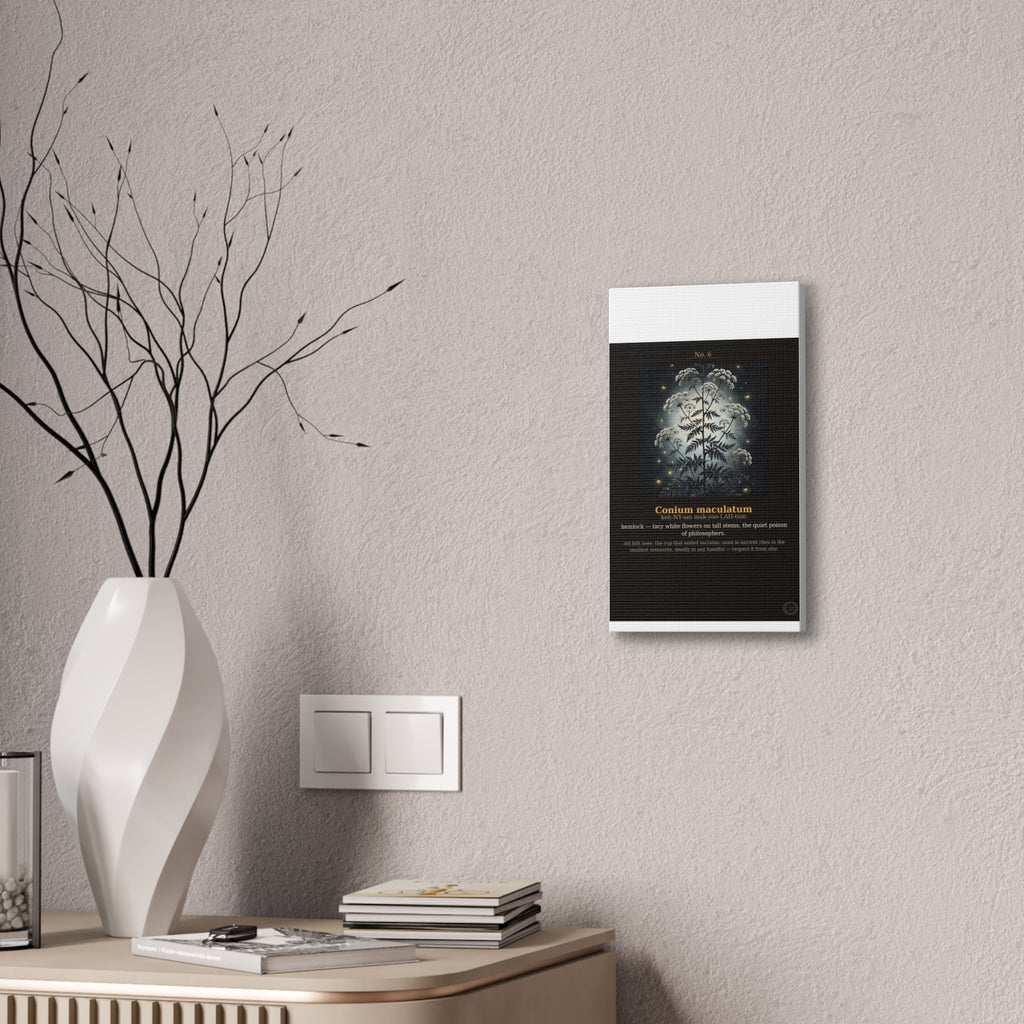 Apothecary of Thorns Canvas - Hemlock No. 6