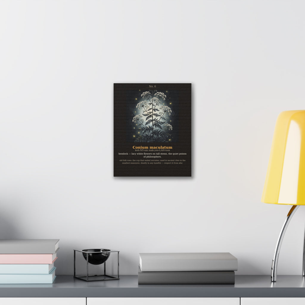 Apothecary of Thorns Canvas - Hemlock No. 6