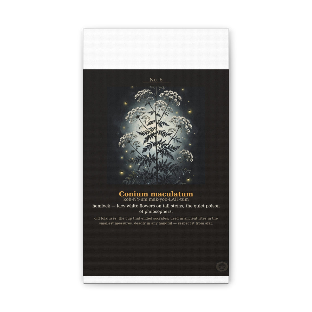 Apothecary of Thorns Canvas - Hemlock No. 6 - product photo 3