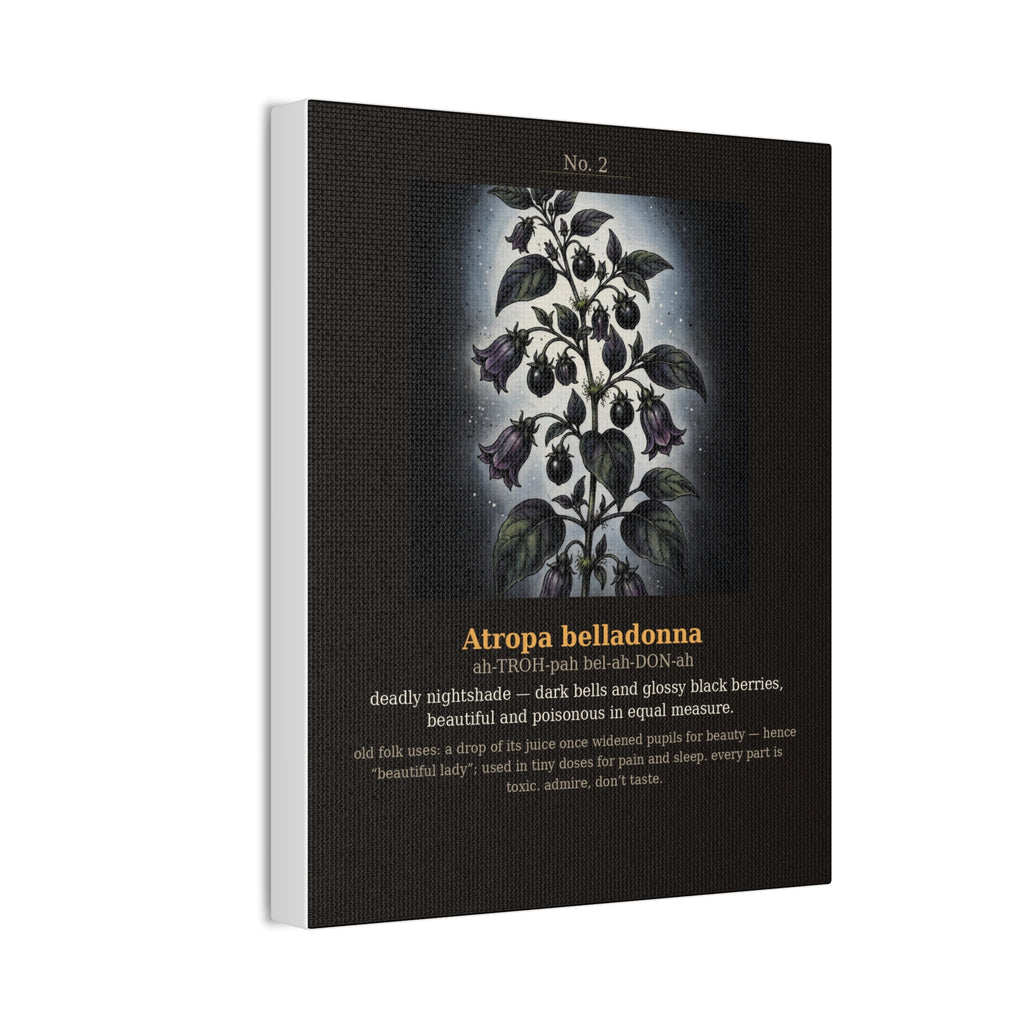 Apothecary of Thorns Canvas - Nightshade No. 2 - product photo 6